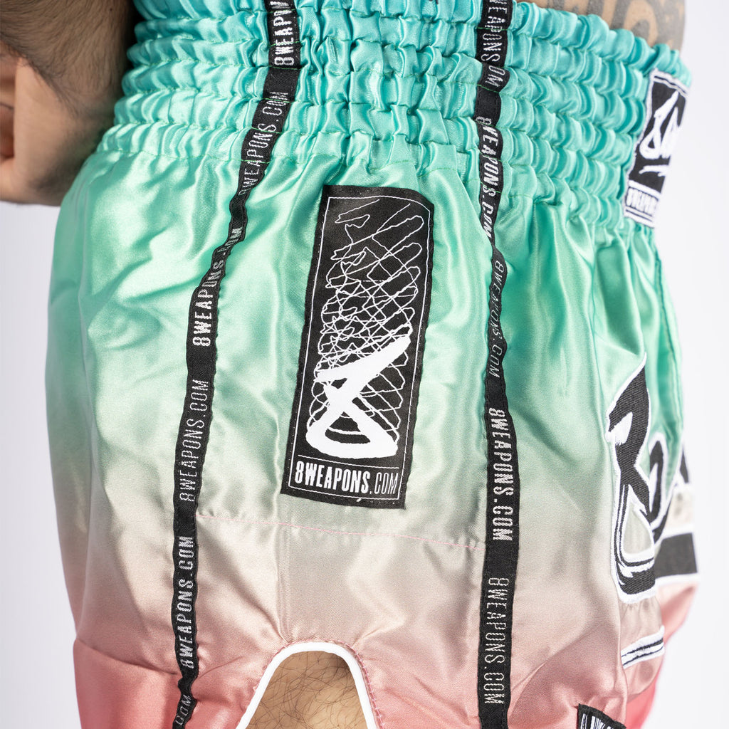 Nice Kicks x Amoeba order Nylon Shorts (M)